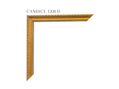 Gold, Patina, Petite Frame, Metallic, Rope Lined Outer Edge, Dotted Interior Edge, Heritage, Luxe, Heirloom, Classical, Custom Frame Moulding, 3/4" Wide x 3/4" Deep, Luxury Framing