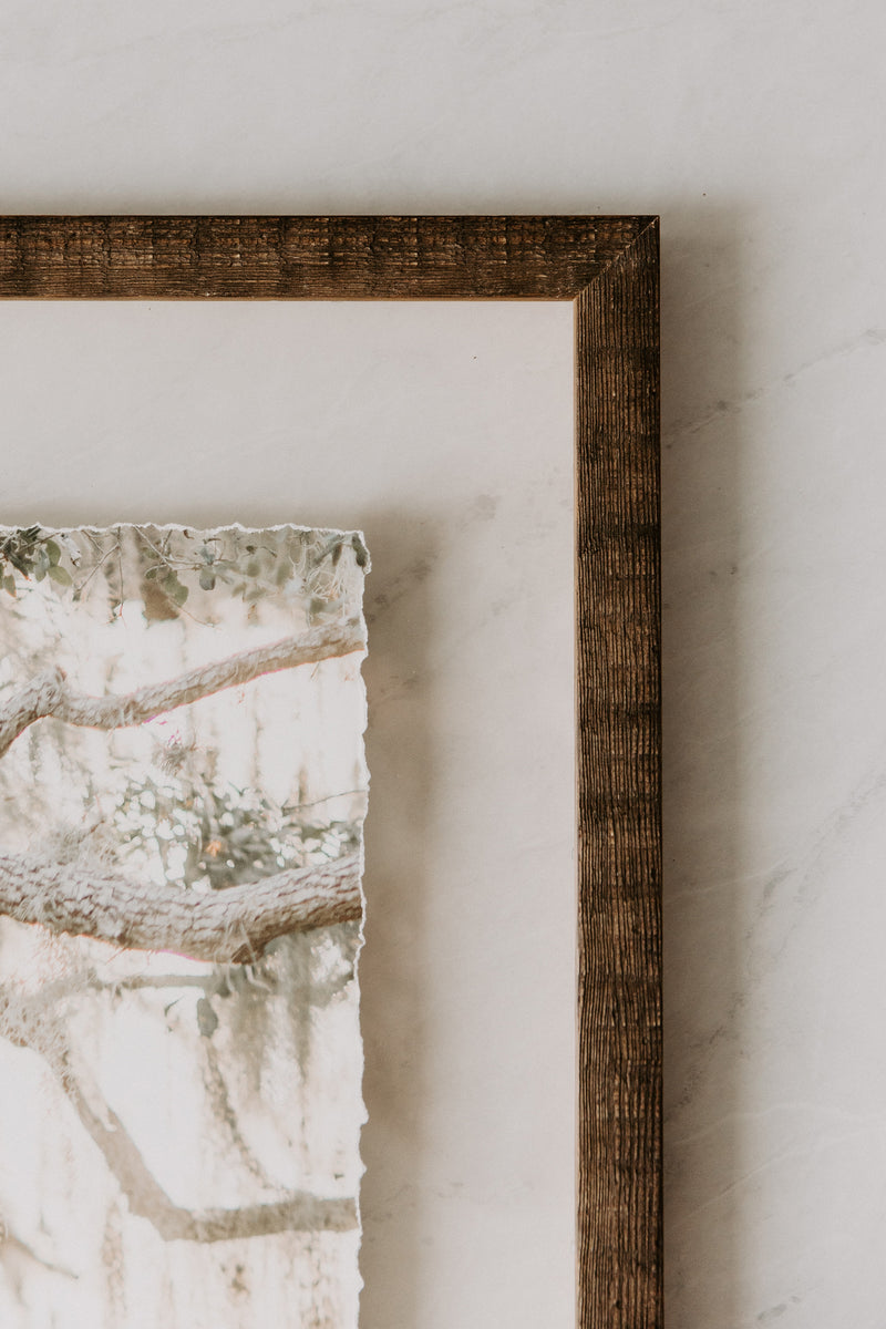 Floating Deckled Edge Print The Photographer's Framer